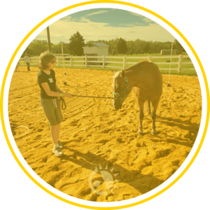 Child walking a horse on a leash.